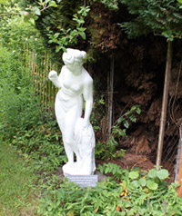 Eve, a recent addition to the cottage garden