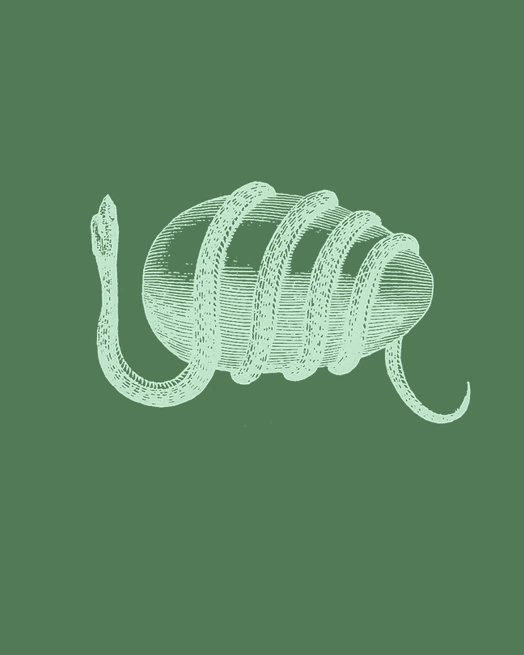 Engraving of a snake wrapped around an egg. Pale green image against a dark green background.