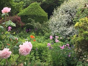 Milton's Cottage Flowers in May 